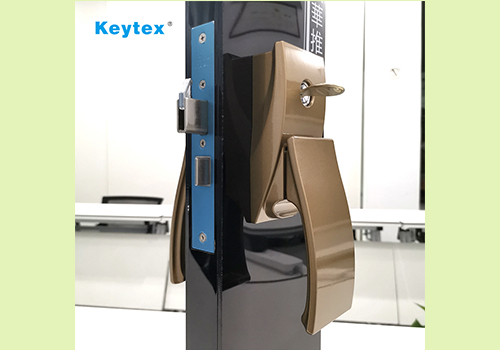 通用的占位符缩略图